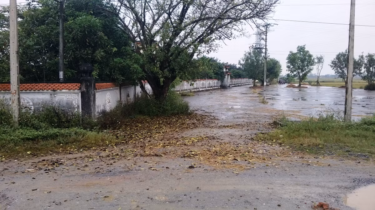 Hiện trường nơi xảy ra vụ việc.