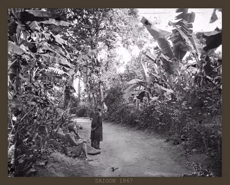 Một con đường đất ở xóm làng ngoại vi Sài Gòn.