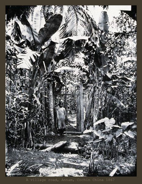 Bên một đường làng ở Nam Kỳ.