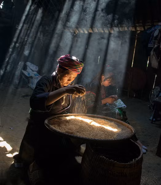 Cụ bà H'Mông chuẩn bị hạt giống cho vụ mùa sắp tới.