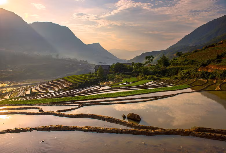 Ruộng bậc thang ở gần bản Tả Van, Sapa.