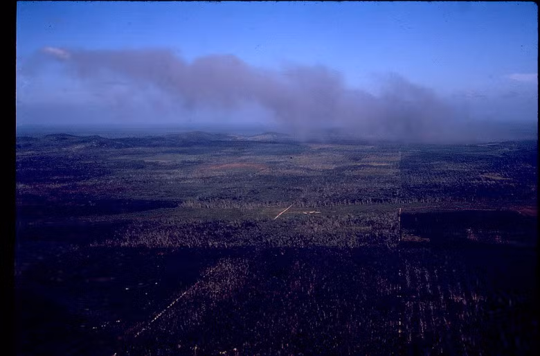 Một diện tích rừng rộng lớn ở miền Nam Việt Nam bị quân Mỹ đốt trụi.