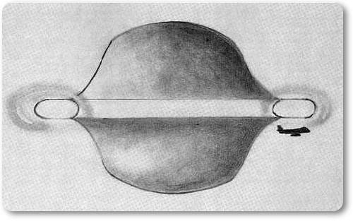 Ngày 16/11/1986, phi hành đoàn và hành khách trên chuyến bay mang số hiệu JAL 1628 của hãng hàng không Nhật Bản đã phát hiện ra một vật thể bay không xác định có kích cỡ “lớn gấp 3 lần một chiếc tàu sân bay” song hành cùng họ trong khoảng thời gian 50 phút khi nó bay qua khu vực Đông Bắc Alaska, Mỹ. Không có một lời giải thích hợp lý nào được đưa ra trước sự kiện này.