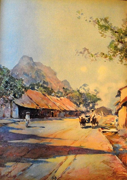 Đường quê Việt Nam.