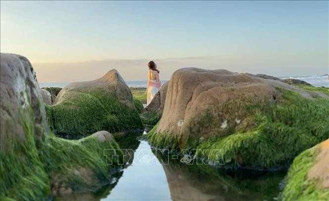 Những tảng đá được rêu phủ xanh đẹp mắt thu hút khách ưa thích chụp ảnh.