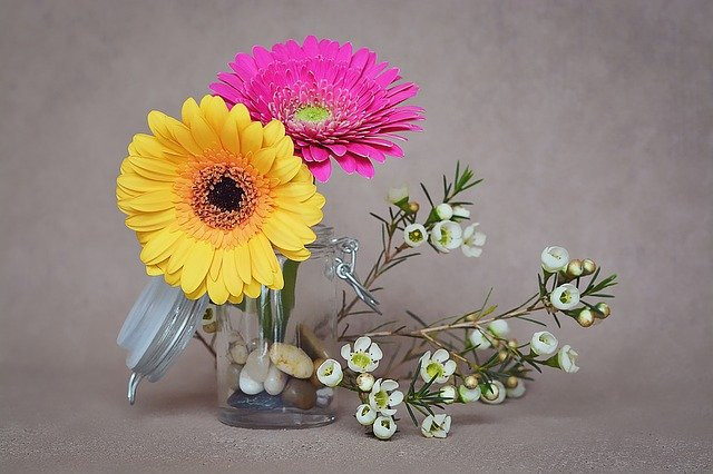 Du doan thang 11/2020: 3 con giap tien nhieu nhu nuoc