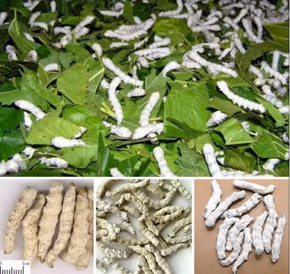 Phuong phap giup vong mot no nang day dan