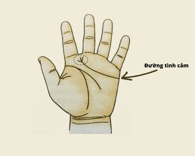 Phụ nữ sở hữu tướng tay này sẽ có tình yêu mĩ mãn - Hình 2 Phu nu so huu tuong tay nay se co tinh yeu mi man-Hinh-2