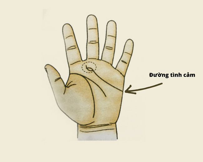 Phụ nữ sở hữu tướng tay này sẽ có tình yêu mĩ mãn Phu nu so huu tuong tay nay se co tinh yeu mi man