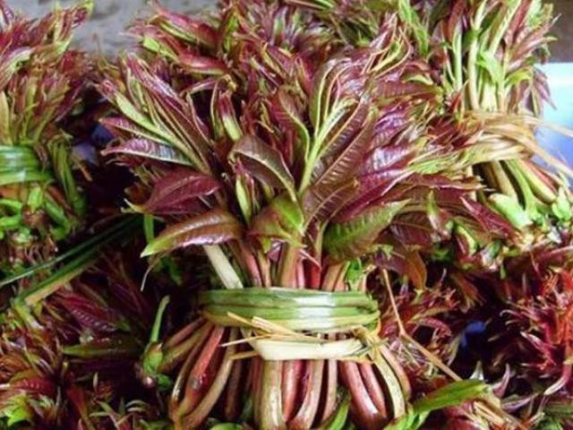 Bộ quần áo thợ xây nhìn cũ kĩ có giá tới gần 700 USD - Hình 2 Bo quan ao tho xay nhin cu ki co gia toi gan 700 USD-Hinh-2