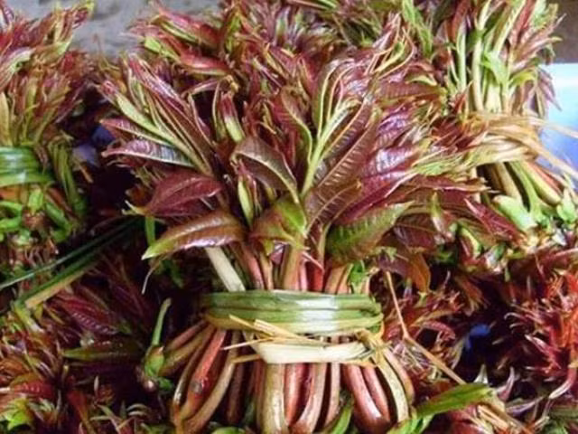 Bo quan ao tho xay nhin cu ki co gia toi gan 700 USD-Hinh-2