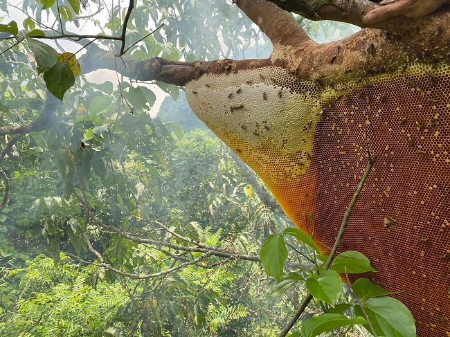 Chang trai 9x kiem tien trieu moi ngay tiet lo bi mat trong nghe-Hinh-4