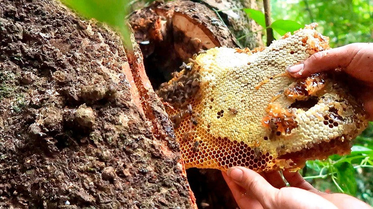 Chang trai 9x kiem tien trieu moi ngay tiet lo bi mat trong nghe-Hinh-2