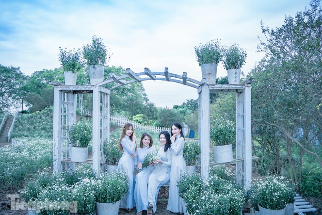 ác thiếu nữ vội vã lưu lại một mùa hoa đẹp nao lòng như thế này