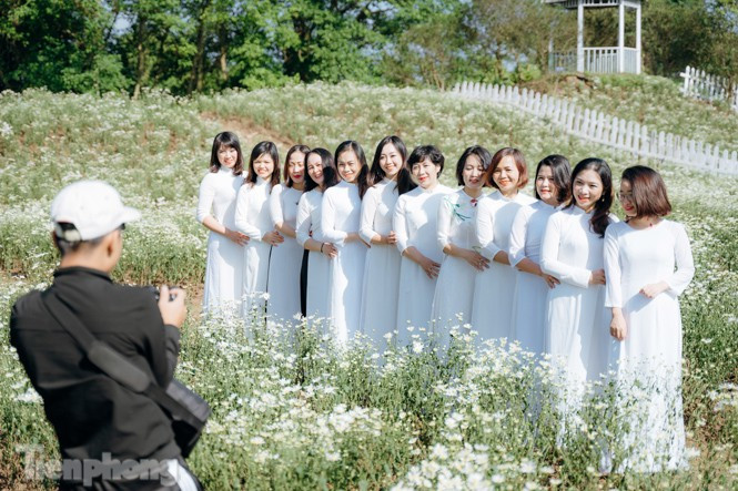 ##s### Đoàn chị em thả dáng trên cánh đồng cúc họa mi.