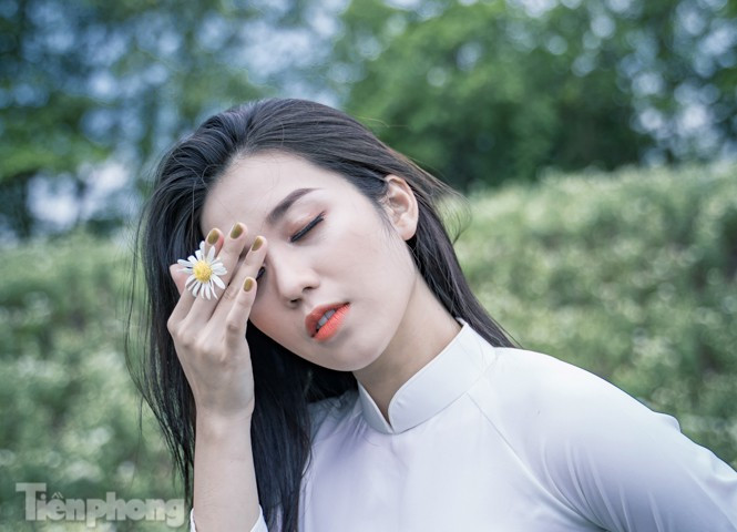 ##s###Cúc họa mi (hay còn gọi là cúc dại) là loài hoa nhỏ có những cánh trắng ngần, từ giữa tỏa ra như hình nan hoa quanh một nhụy vàng tươi. Mùa hoa này thường rất ngắn ngủi. Mỗi mùa họa mi chỉ kéo dài từ 2-3 tuần.