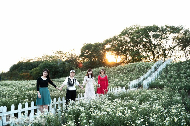 ##s###Chưa đến tháng 11, cánh đồng cúc họa mi ở đây đã khoe sắc trắng tinh khôi.