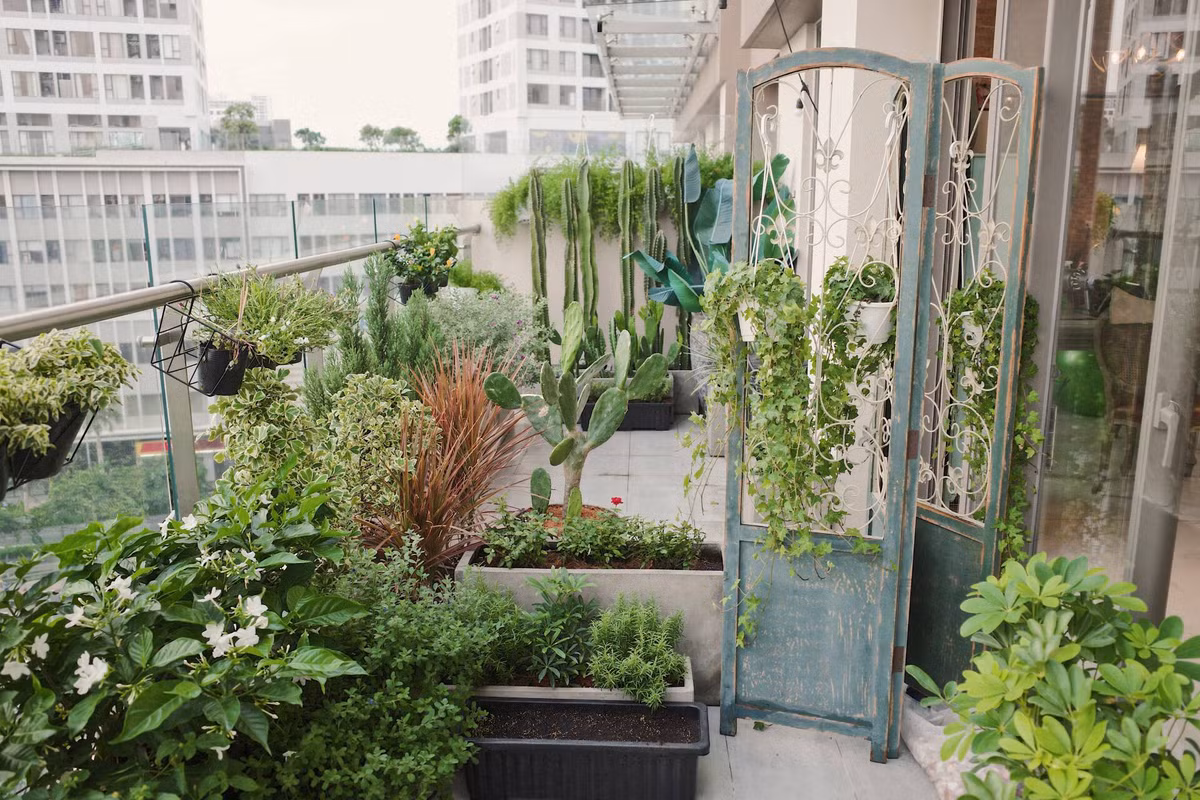 Can canh phong ngu an tuong trong can nha bac ty cua fashionista Chau Bui-Hinh-22