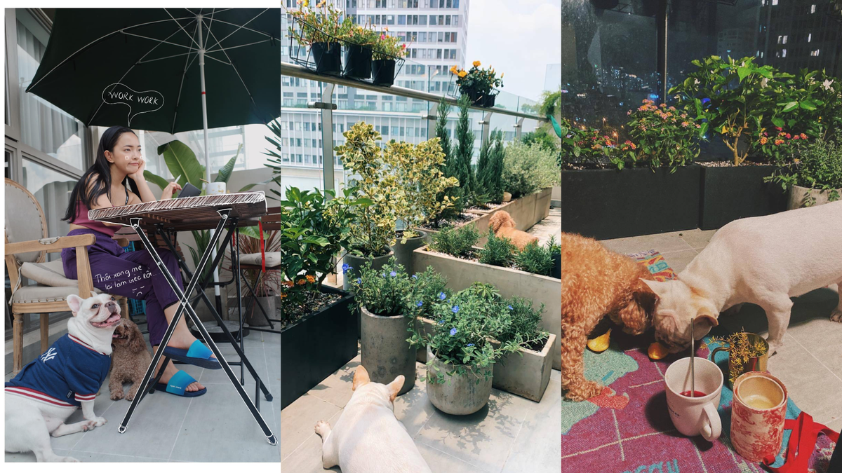 Can canh phong ngu an tuong trong can nha bac ty cua fashionista Chau Bui-Hinh-20