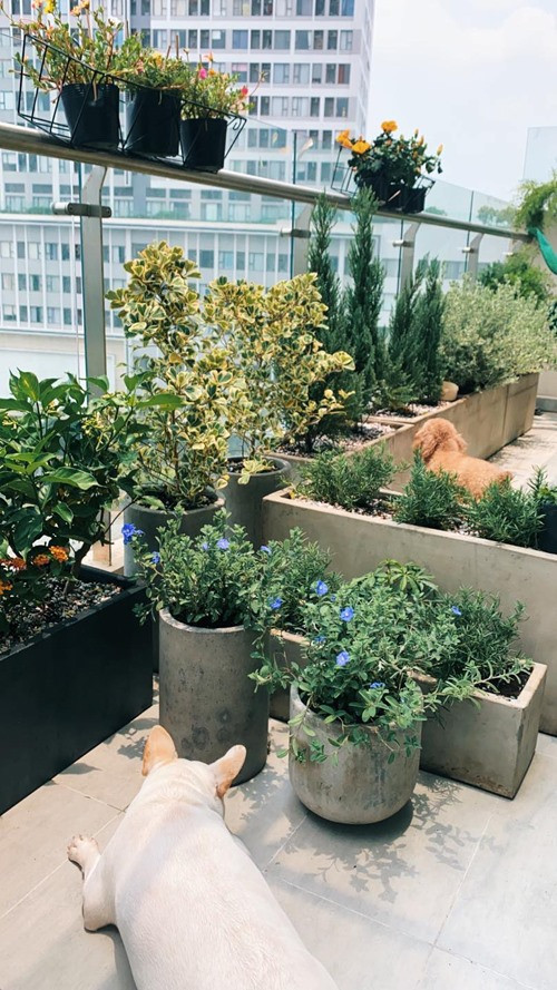 Can canh phong ngu an tuong trong can nha bac ty cua fashionista Chau Bui-Hinh-25