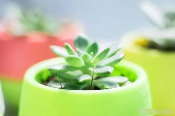 Hay nho nhung loi nay de thanh cong trong cuoc song cua ban!-Hinh-2