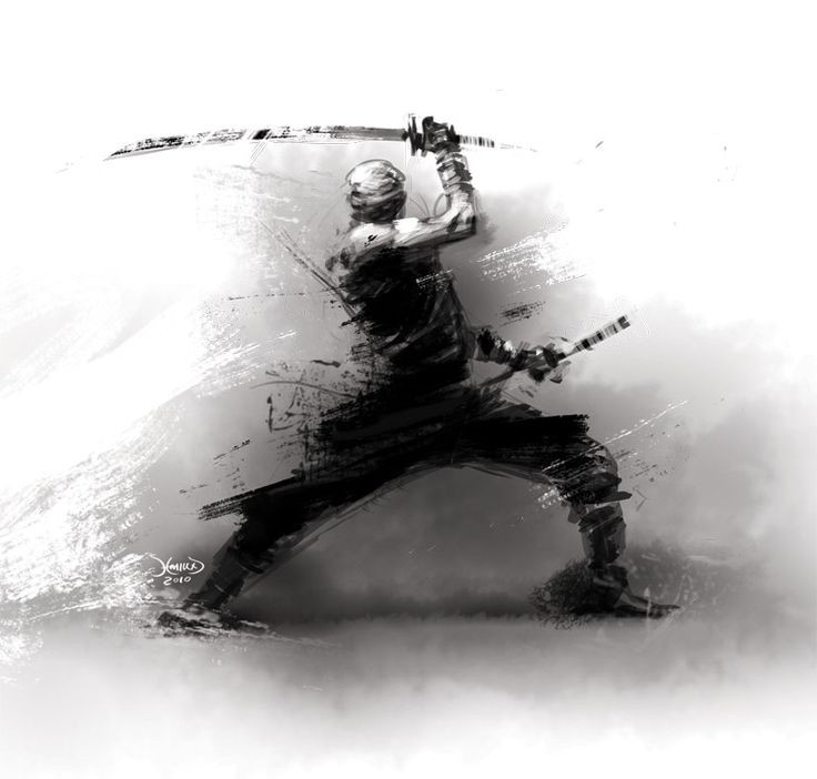 Sau 4 năm, Hanzo đã sở hữu đầy đủ các kỷ năng của một ninja thực thụ. Năm 16 tuổi, ông thực hiện nhiệm vụ lớn đầu tiên của mình và dành được thành công vang dội.