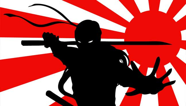 Ngày nay, hình tượng Hattori Hanzo được tái hiện trong rất nhiều văn hóa phẩm của Nhật Bản như truyện tranh, phim ảnh.