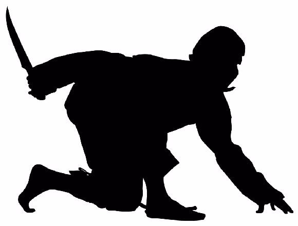 Các tài liệu cổ mô tả Hanzo là người có khả năng hoạch định chiến thuật và sử dụng thương tuyệt đỉnh. Ông còn có biệt tài sống dưới nước hai ngày mà không hề có dấu hiệu mệt mỏi.