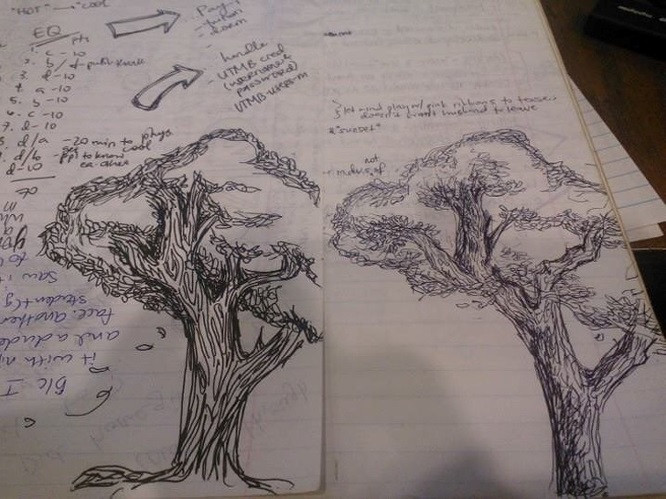 "Tôi vô tình phát hiện ra hai cây này được vẽ cách nhau 2 năm mà không hề hay biết."