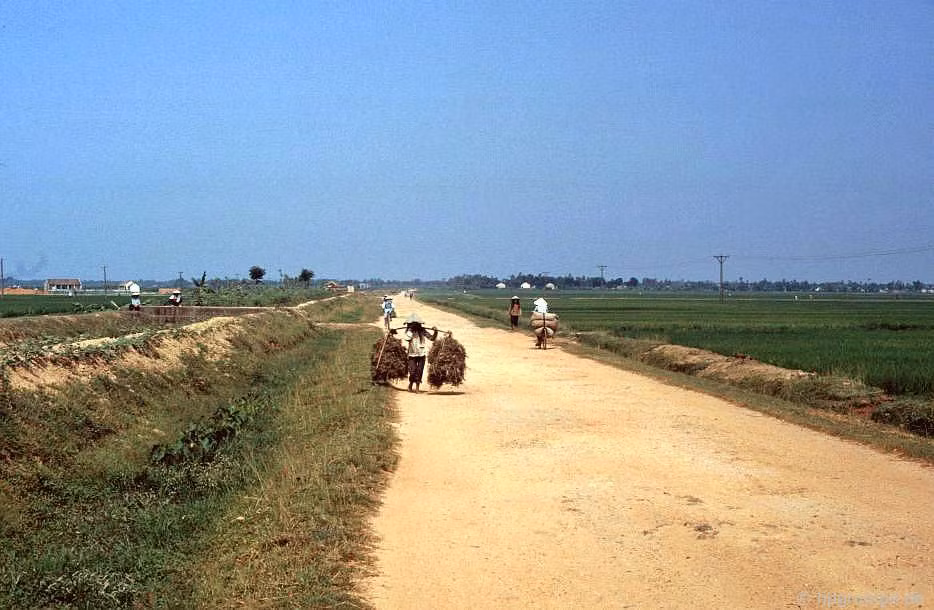 Đường đến làng tranh Đông Hồ (Song Hồ, huyện Thuận Thành, tỉnh Bắc Ninh).