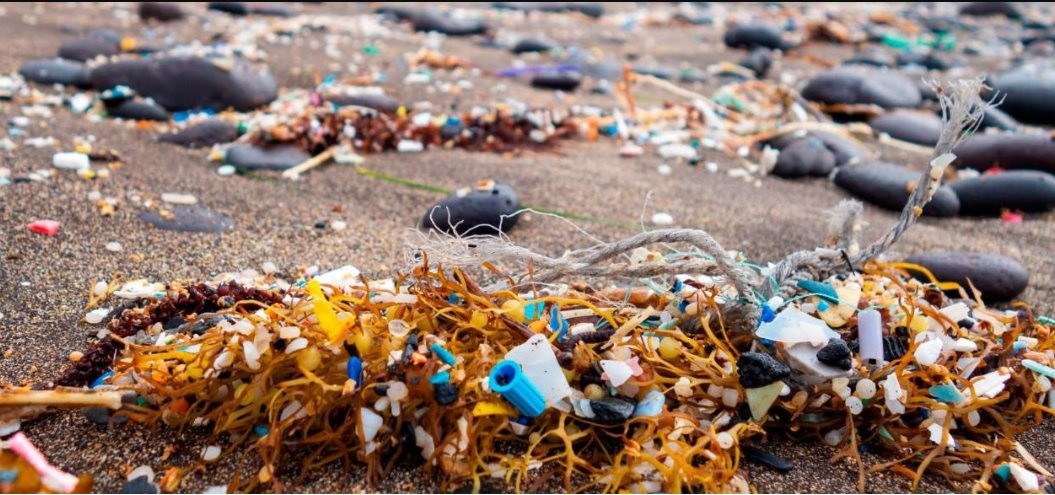 Khoảng 8 triệu tấn chất thải nhựa đổ xuống biển mỗi ngày, tương đương với trọng lượng của 90 tàu sân bay.