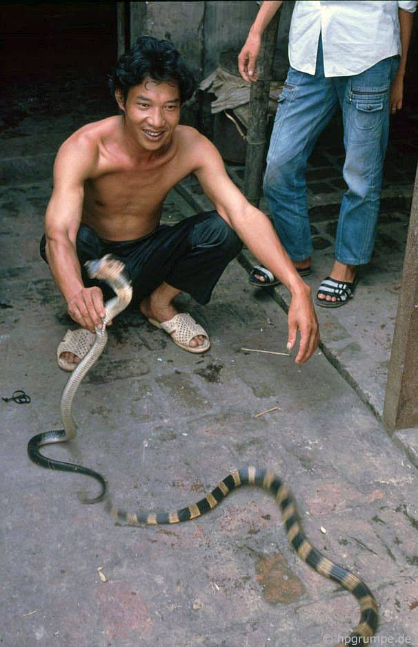 Thời điểm năm 1991, hầu hết các gia đình ở làng Lệ Mật bán thịt rắn và làm rượu rắn. Các con rắn được săn bắt hoặc mua từ những người nông dân trong khu vực.