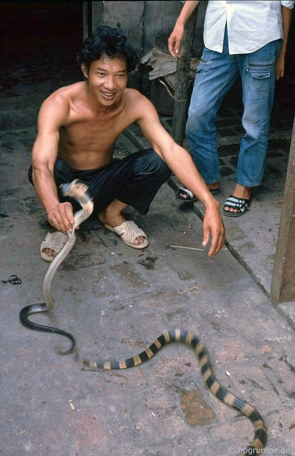 Thời điểm năm 1991, hầu hết các gia đình ở làng Lệ Mật bán thịt rắn và làm rượu rắn. Các con rắn được săn bắt hoặc mua từ những người nông dân trong khu vực.