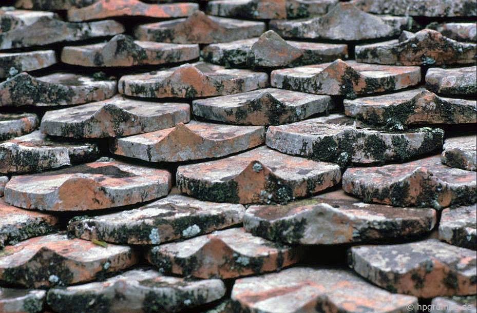 Ngói mũi hài dùng để lợp mái cầu.