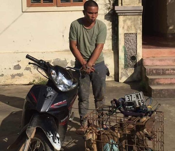 Dan vay bat 2 ‘cau tac' mang dao di trom 70 con cho