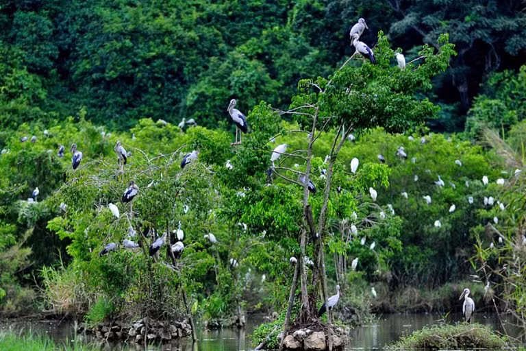 Tỉnh Sóc Trăng nằm ở hạ nguồn của sông Hậu, nơi sông Hậu đổ vào Biển Đông tại hai cửa Định An và Trần Đề. Tỉnh Sóc Trăng có diện tích hơn 3.000 km2, dân số hơn 1,1 triệu người. Dân số và diện tích đều đứng thứ sáu trong khu vực Đồng bằng Sông Cửu Long.