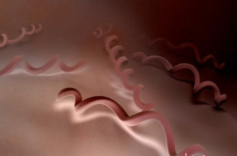 Bệnh giang mai. Nếu không được điều trị, bệnh giang mai có thể gây nguy hiểm cho các bộ phận bên trong cơ thể, tổn thương thần kinh, mất trí nhớ hoặc tử vong. Kiểm tra bằng cáchxét nghiệm máu.