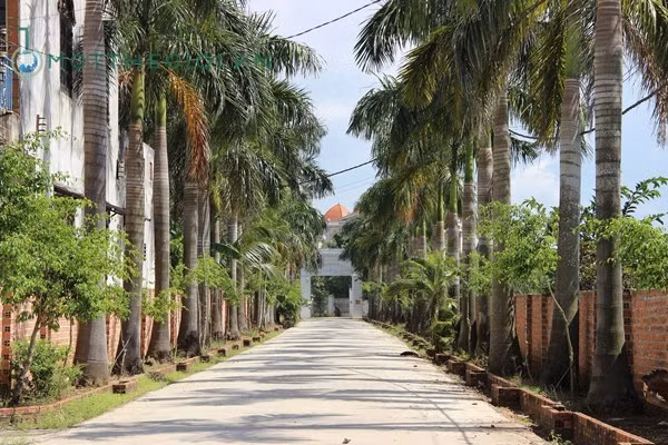 Tháng 7/2000, bà Lý lập di chúc để lại cho con gái là Phạm Thị Kim Anh (sinh năm 1967). Trong di chúc của bà Lý có nêu rõ là bà Kim Anh toàn quyền quyết định khi bà mất, trong đó đồng ý việc chia tài sản cho các con đỡ đầu và các cháu.