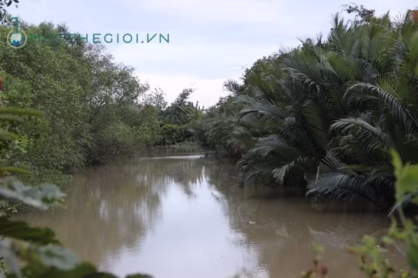 Căn biệt thự trước đây do vợ ông Truyền đứng tên được bao quanh là cây cối rợp mát, phía sau căn biệt thự là khoảng đất rộng bạt ngàn và con sông dài.