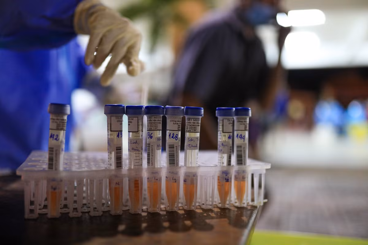 Ngành y tế thực hiện theo phương thức lấy 5 mẫu gộp. Thay vì xét nghiệm từng người, các mẫu từ nhiều cá nhân cùng gia đình sẽ được trộn lẫn và kiểm tra trong lần duy nhất. Nếu cho kết quả dương tính, từng người trong nhóm sẽ được kiểm tra riêng.