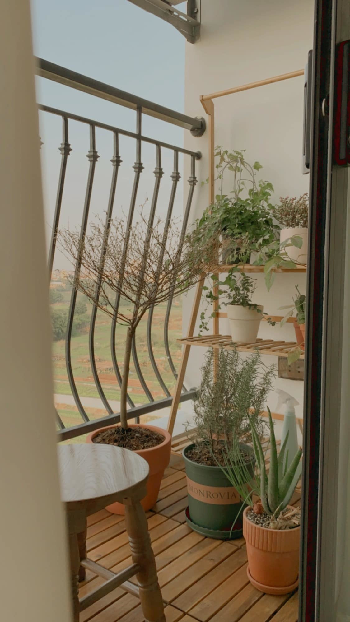 Khong gian song ngap mau cam chay va xanh reu day lang man cua vo chong tre-Hinh-25