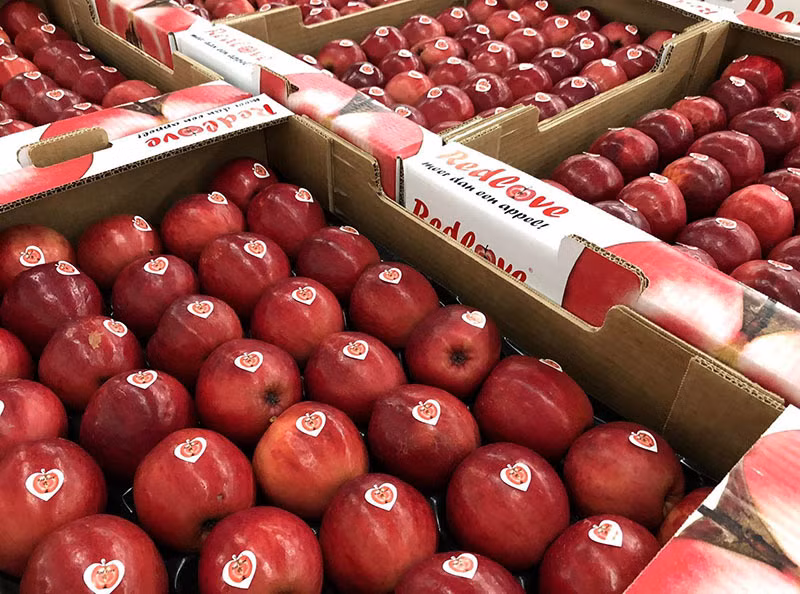 Loai qua la do tham tu trong ra ngoai, gia cao ngat nguong van hut khach-Hinh-3