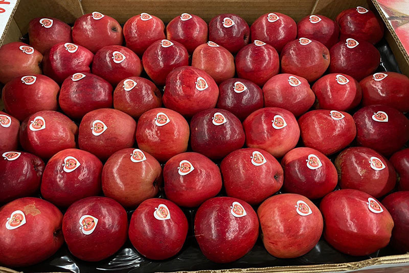 Loai qua la do tham tu trong ra ngoai, gia cao ngat nguong van hut khach-Hinh-2