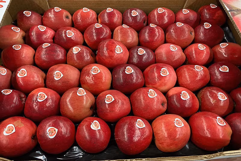 Loai qua la do tham tu trong ra ngoai, gia cao ngat nguong van hut khach-Hinh-2