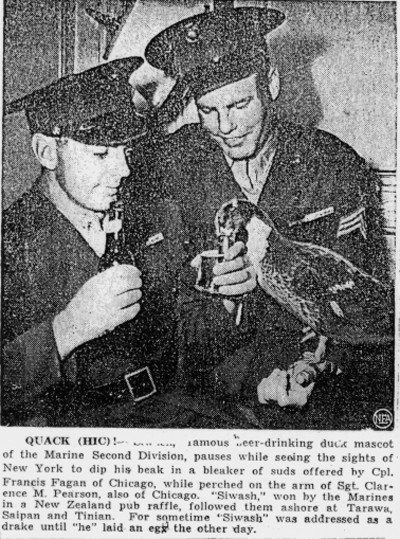 Co vit dung cam xung phong tham chien trong The chien II duoc phong huy chuong-Hinh-2