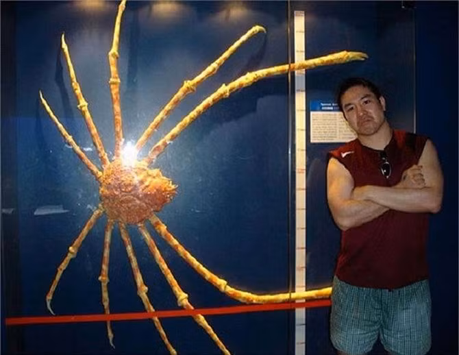 Diem danh nhung 'ga khong lo' trong the gioi dong vat-Hinh-5