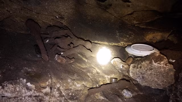 Theo đánh giá của một cán bộ Sở Văn hóa, Thể thao và Du lịch Nghệ An, căn cứ địa hình hang đá, đặc điểm địa mạo và một số hiện vật như vỏ ốc, mảnh gốm vỡ thu được tại hiện trường, bước đầu có thể nhận định khu vực này từng là nơi cư trú của người xưa. Hang đá Lèn Chùa có thể liên quan đến cư dân Việt cổ sinh sống, chôn cất. Ảnh: Xương nằm rải rác trên nền hang.