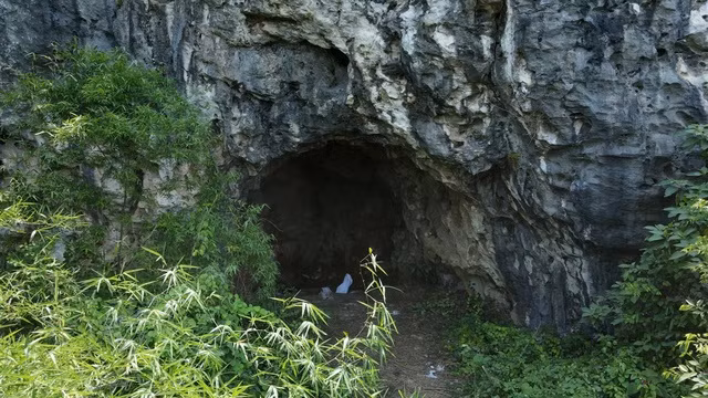 Được biết, khu vực hang Lèn Chùa nằm giữa rừng núi hoang sơ, ít người qua lại. Nghe thông tin có nhiều bộ xương nghi của người được phát hiện, nhiều người người dân hiếu kỳ đã kéo đến hang đá để xem. Nhận được tin báo, lực lượng chức năng đã có mặt bảo vệ hiện trường. Hiện, vụ việc đang được các cơ quan chức năng liên quan xác minh, làm rõ. Ảnh: Hàng ngày rất ít người đi vào khu vực hang Lèn Chùa