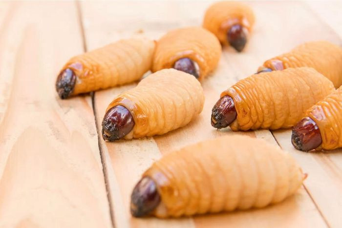 Đuông dừa có thể trở thành sâu hại nếu phát triển quá mức ở các vùng trồng dừa như khu vực Bến Tre của Việt Nam.