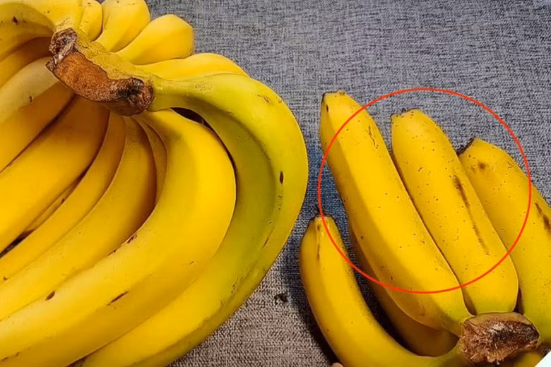 Loai qua re tien lai co tac dung bo nao, an than-Hinh-6